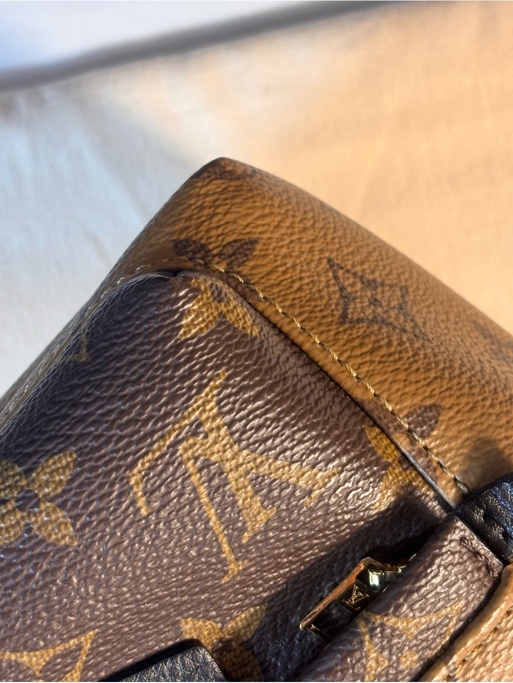 Louis Vuitton Reverse Palm Springs Mini - Picture 15 of 16